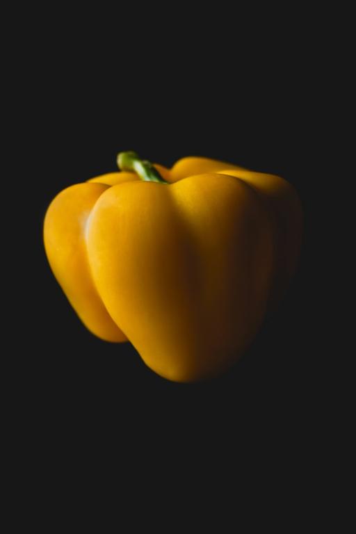 pavel-mata-fdvDFXthLKY-unsplash