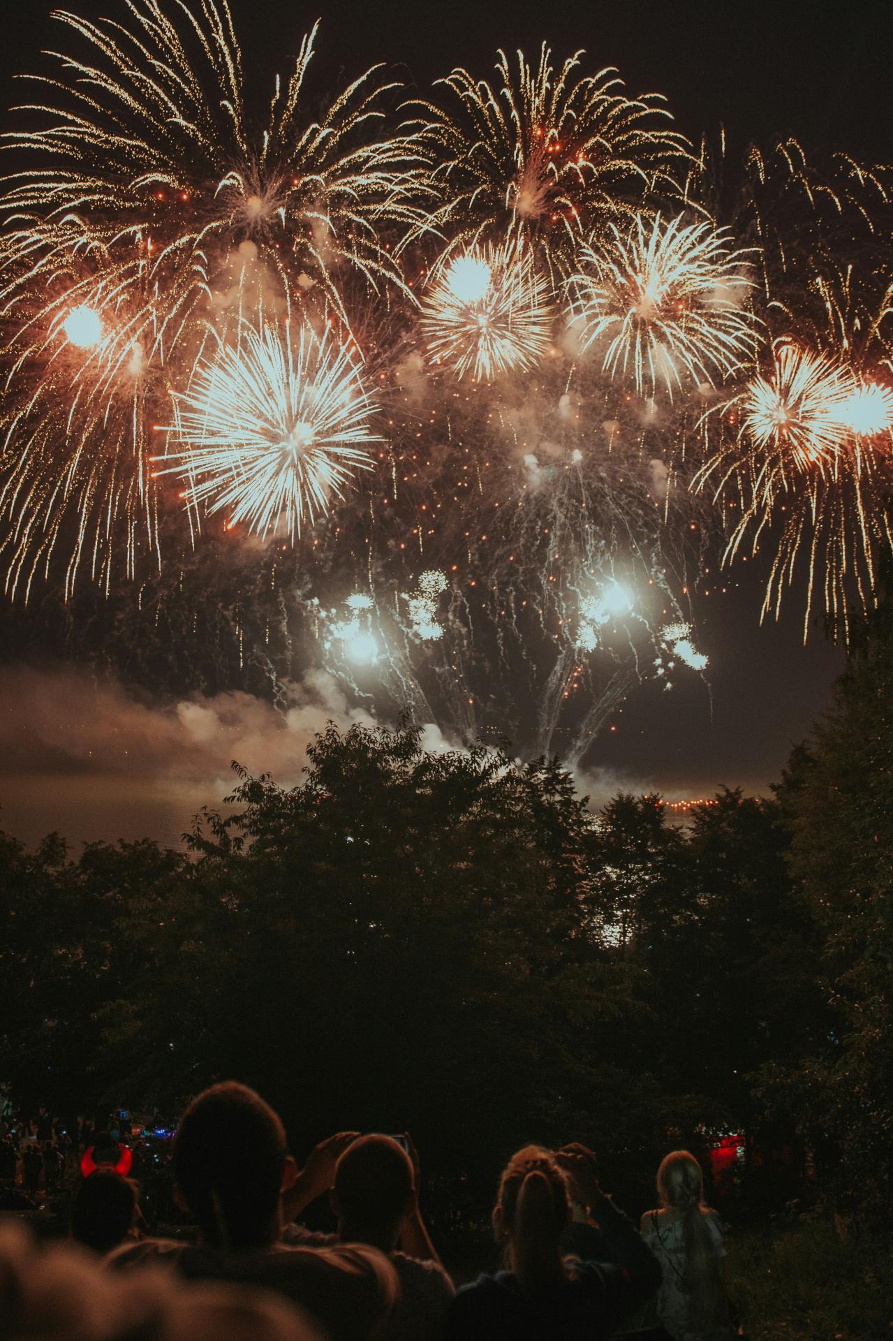 Fireworks with trees